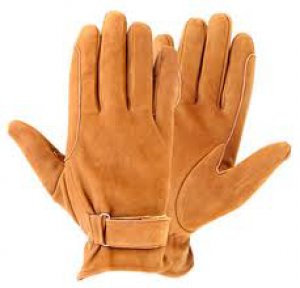 Horse Riding Gloves